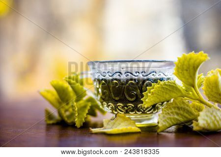 Green Colored Beneficial And Ayurvedic And Herbal Tea Of Carom Leaves Or Bishop's Weed Or Ajwain In 