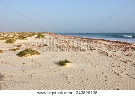 Big White Sand Dunes At Aomak Beach At Sunset, Socotra Island, Yemen. The Protected Area Of Aomak Be