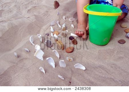 Emmer en schelpen