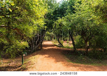 Yala, Sri Lanka - December 10, 2016: Natural Area With Trees And Road Outdoors Of Cinnamon Wild Hote