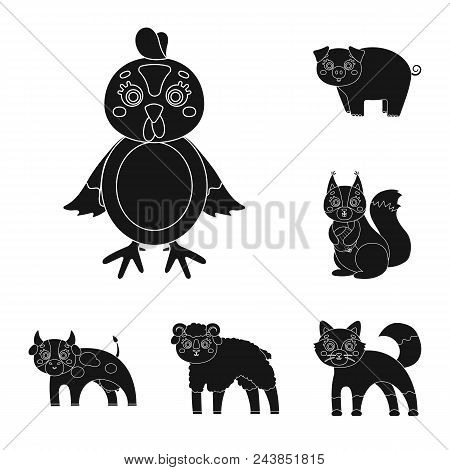 Toy Animals Black Icons In Set Collection For Design. Bird, Predator And Herbivore Vector Symbol Sto