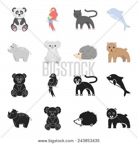 Rhino, Koala, Panther, Hedgehog.animal Set Collection Icons In Black, Cartoon Style Vector Symbol St