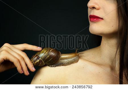 Sensual Beautiful Young Woman With A Snail Ahatin On Her Shoulder Receiving A Cosmetological Procedu