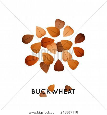 Agro Culture Buckwheat Seeds Icon. Cereals Buckwheat Illustration.
