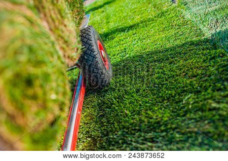 Creating New Grass Field In The Garden. Natural Turf Grass On The Moving Cart Closeup Photo. Landsca