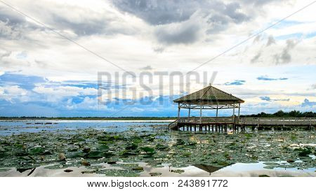 Evening Time Or Sunset At The Pavilion On Lake Or Pond Or Swamp Of Bueng See Fai, Phichit, Thailand.
