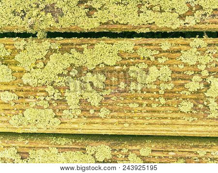 Old Wooden Background Paintedyellow  Green Paint With Cracks