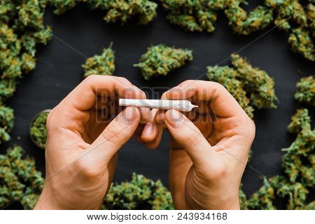 Grinder A Lot Ofx Marijuana, Fresh Buds Of Cannabis Many Weed. Copy Spase Copy-space