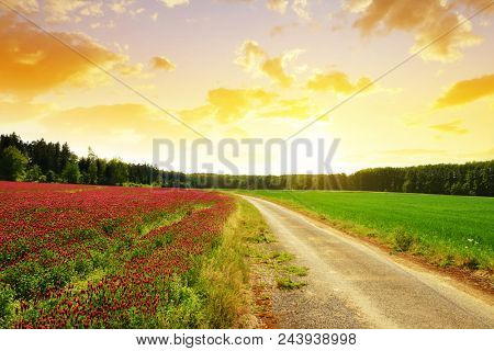 Spring rural landscape with way in field at sunset.
