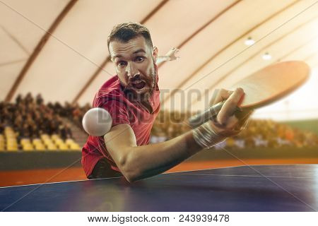 The Table Tennis Player In Motion. Fit Young Sports Man Tennis-player In Play On Sport Arena Backgro