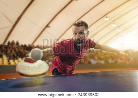 The Table Tennis Player In Motion. Fit Young Sports Man Tennis-player In Play On Sport Arena Backgro