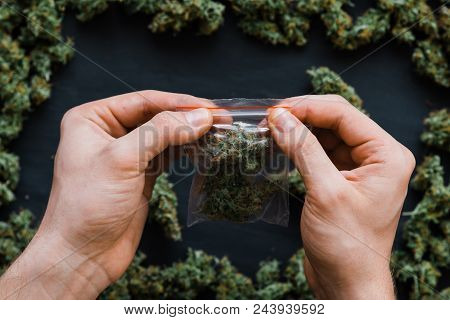 Grinder A Lot Ofx Marijuana, Fresh Buds Of Cannabis Many Weed. Copy Spase Copy-space