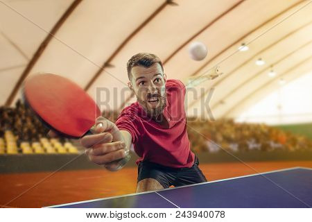 The Table Tennis Player In Motion. Fit Young Sports Man Tennis-player In Play On Sport Arena Backgro