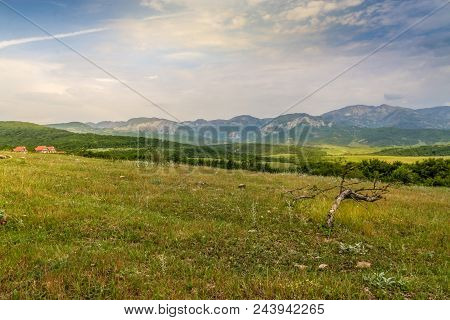 Green Meadow On The Background With Distant Mountains. Open Field With Green Grass. Landscape Photog