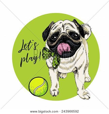 Vector Portrait Of Pug Dog With Tennis Ball. Let S Play. Green Curveball And Background. Summer Cart