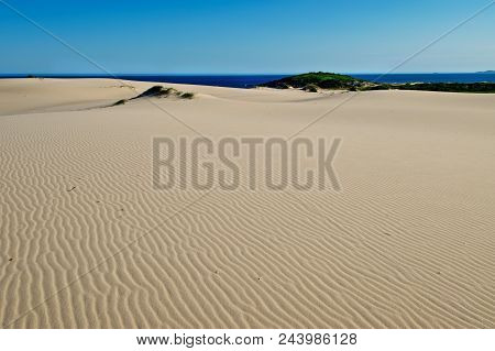 Sand Dunes In Myall Lakes In Australia.