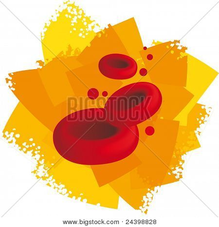 เซลล์เม็ดเลือด