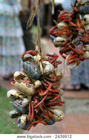 Sušené krabí, Panama