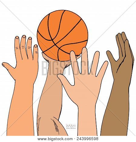 Four Male Hands Attack Basket Ball. Playing, Holding, Throwing. Hand Drawn Colored Sketch. Isolated 