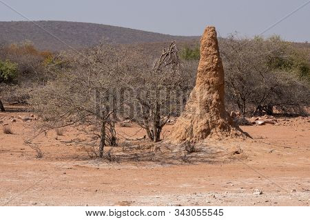 Termite Mound Or Termite Hill In The Savanna With Bush And Shrubs In Kaokoveld, Namibia, Africa