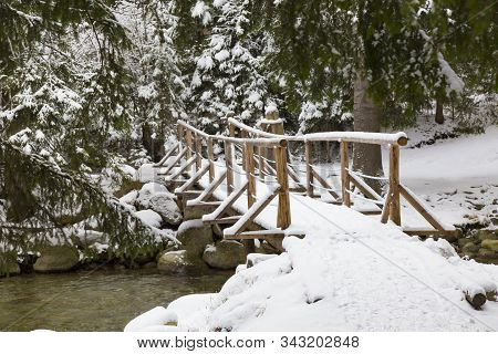 Winter Landscape, Beautiful Winter Nature: Fast Mountain River Flows Among A Snowy Coniferous Forest