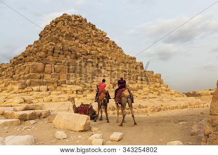 Foreground Of A Camel Dromedar Against The Backdrop Of The Great Pyramids, View Of The Sunset Sky In