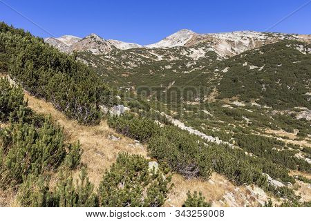 Autumn Landscape Of Polezhan Peak, Pirin Mountain, Bulgaria