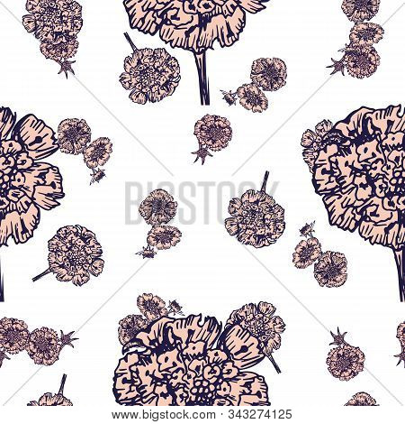 Hand- Drawn Astra Flowers Seamless Pattern On White Background For Fabric Or Surface Design.  Vector