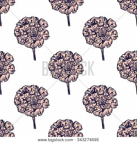 Hand- Drawn Astra Flowers Seamless Pattern On White Background For Fabric Or Surface Design.
