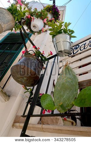 Hanging Flower Pots With Blooming Flowers And Opuncia Cactus Flower In The Street Of Locorotondo Tow