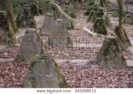 Antitank Teeth In The Forest Of Europe. Traces Of Second World War.