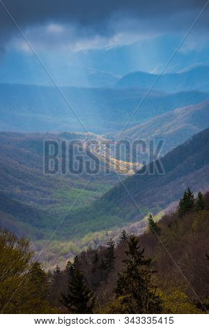 Early Spring Growth In The Oconaluftee Valley Of North Carolina In The Great Smoky Mountains