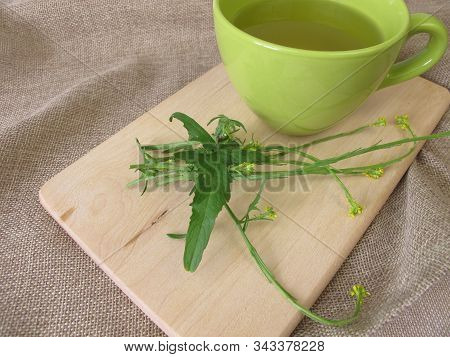 A Cup Of Tea With Hedge Mustard