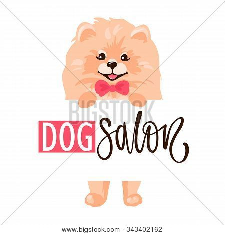 Dog Salon Pet Vector Photo Free Trial Bigstock