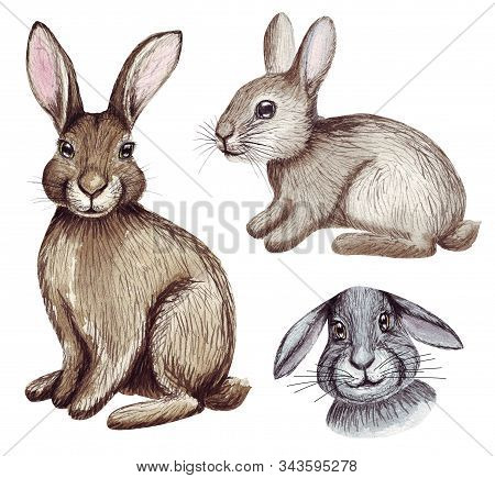 Watercolor Cute Easter Bunnies Set. Hand Drawn Rabbits Illustration Isolated On White