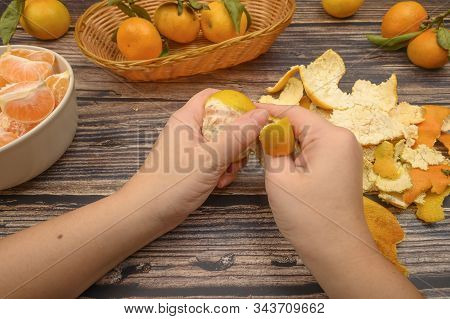 The Girls Hands Are Cleaning Tangerine, Tangerines On A Twig With Green Leaves, Peeled Tangerines In