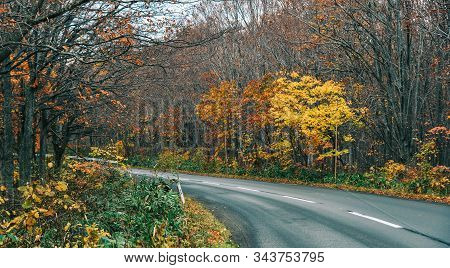 Autumn Scenery Of Aomori, Japan