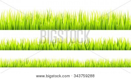 Grass Banner. Cereal Sprouts. Springtime Growth Greenery. Green Turf Overlay Stripes.