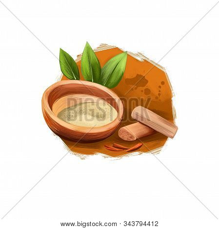 Chandan - Sandalwood Ayurvedic Herb Digital Art Illustration With Text Isolated. Healthy Organic Pla
