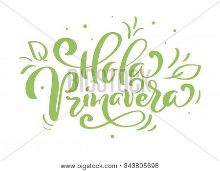Hand Drawn Lettering Hola Primavera In Spanish. Hello Spring Vector Illustration. Spring Green Leave