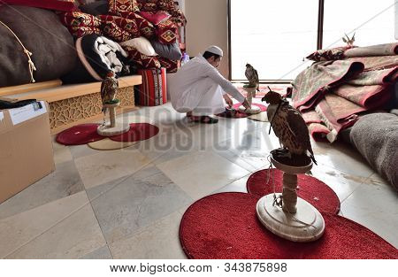 Doha, Qatar - Nov 20. 2019. Falcon Exhibition In Al Gannas - A Cultural Association For Hunters
