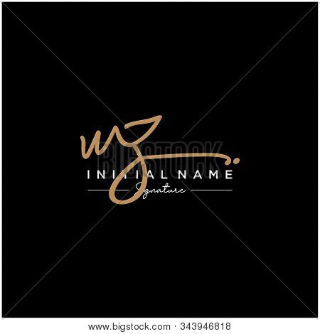 Letter Initial Wz Signature Logo Template Vector