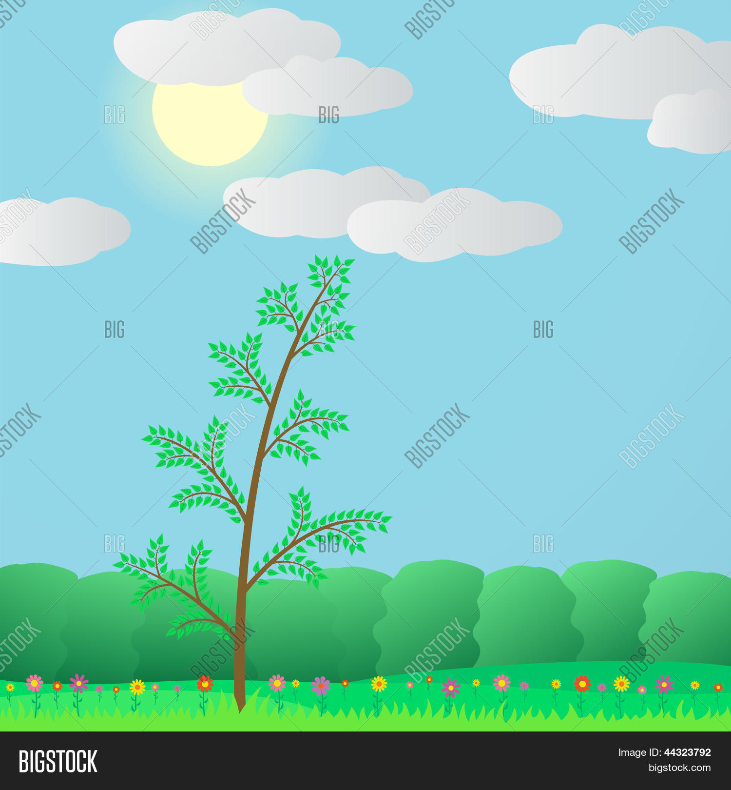 Image Preview