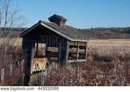 View Over Part Of The Cherry River Swamp And Its Old Abandoned Hut In Magog, Quebec, Canada