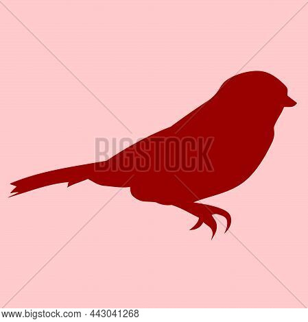 Bird Animal Silhouette Fanua Vector Illustration Clipart