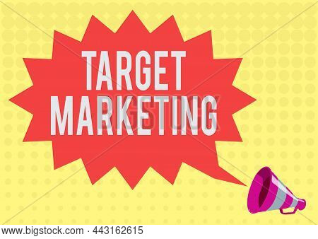 Text Showing Inspiration Target Marketing. Business Approach Audience Goal Chosen Clients Customers 