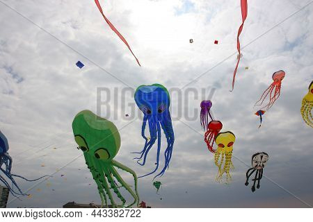 Kites On The Beach Of Berck, France