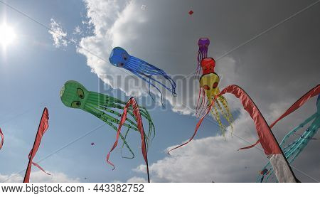 Kites On The Beach Of Berck, France