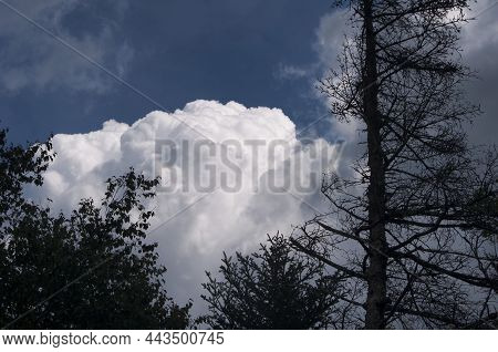 A Dramatic White Cloud Sky And Tree Silhouette In Bretton Woods New Hampshire