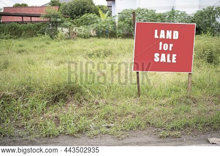 Land For Sale Sign. Red Sign For Sale Plot. Green Lawn Behind Sign. Land For Sale Signboard On Stree